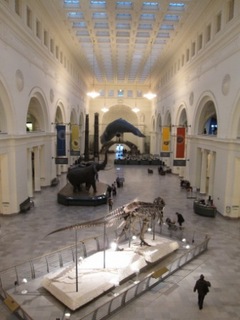 IMG_7601.JPG